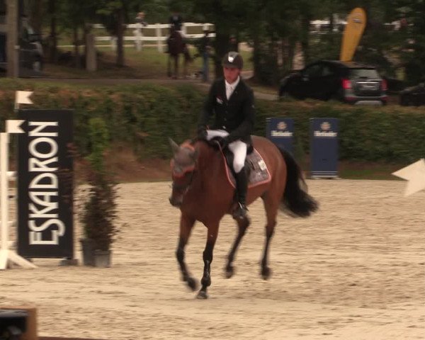 Reitturnier Vlotho-Exter 2018