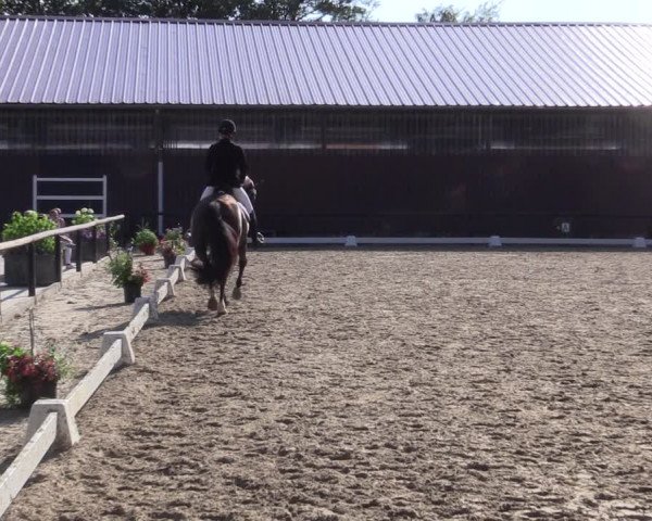 Reitturnier Marienheide-Kempershöhe 2018