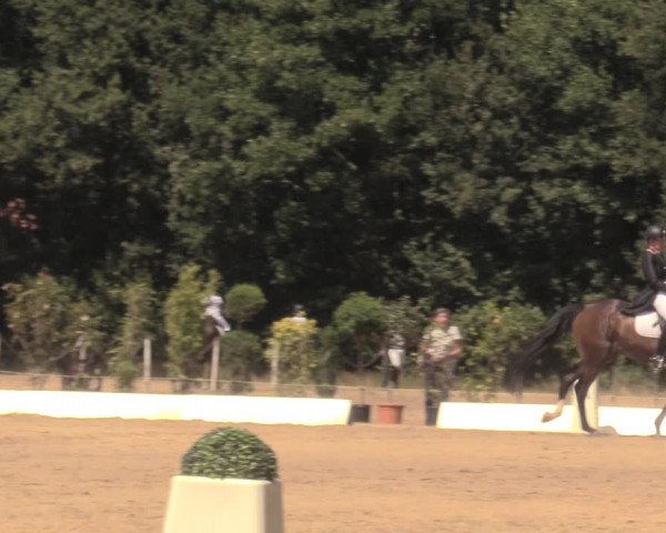 Reitturnier Wietmarschen 2018