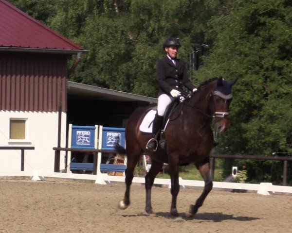 Reitturnier Marienheide-Kempershöhe 2018