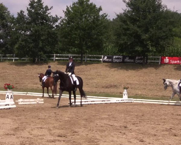 Reitturnier Vlotho-Exter 2018