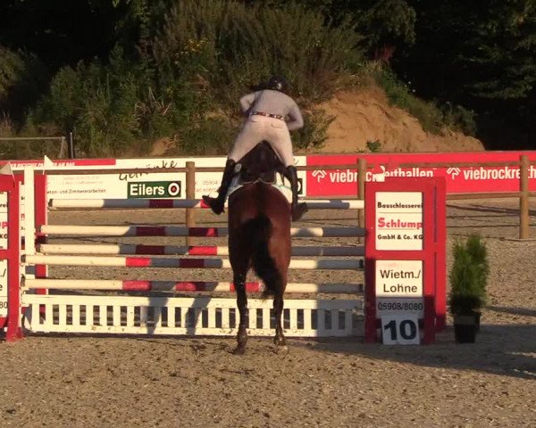 Reitturnier Wietmarschen 2018
