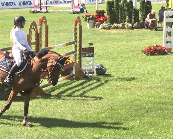 Reitturnier Nördlingen 2018