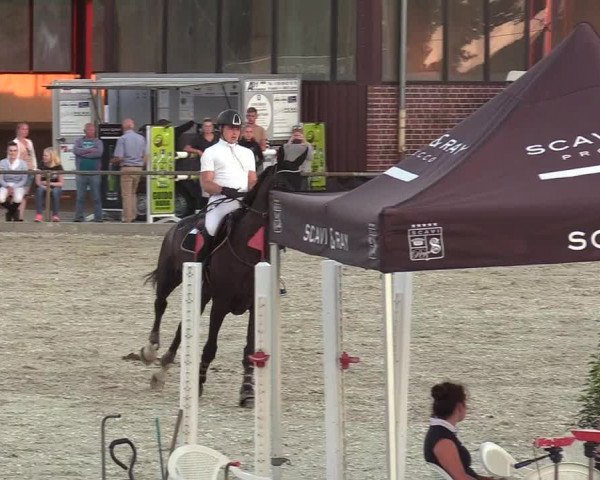 Reitturnier Wietmarschen 2018