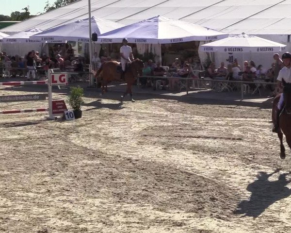 Reitturnier Wietmarschen 2018
