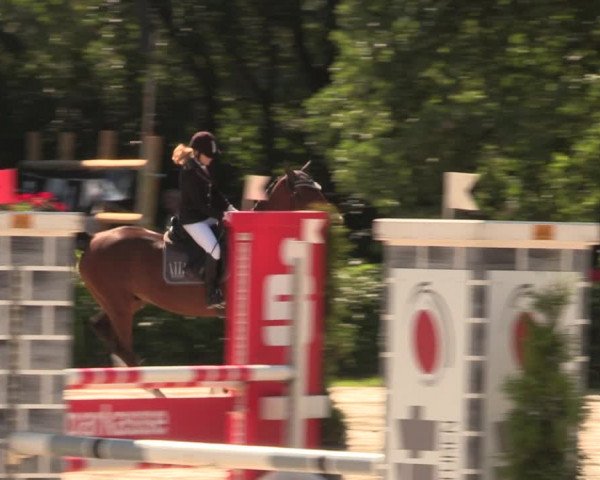 Reitturnier Vlotho-Exter 2018