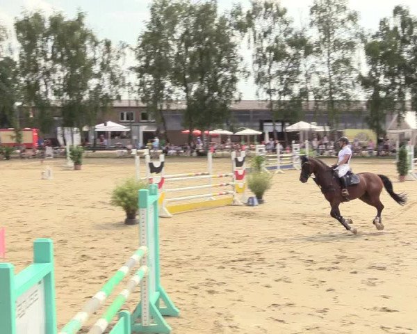 Reitturnier Herbern 2018