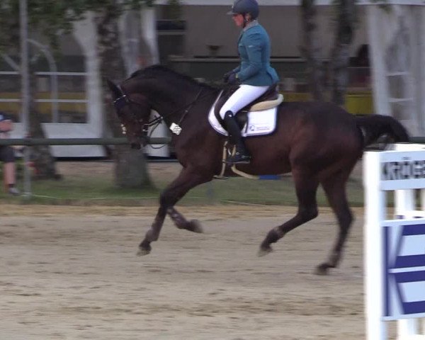 Reitturnier Herbern 2018