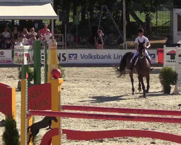 Reitturnier Wietmarschen 2018