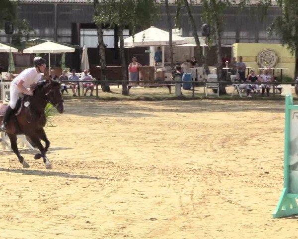 Reitturnier Herbern 2018