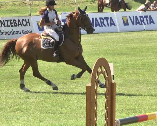Reitturnier Nördlingen 2018