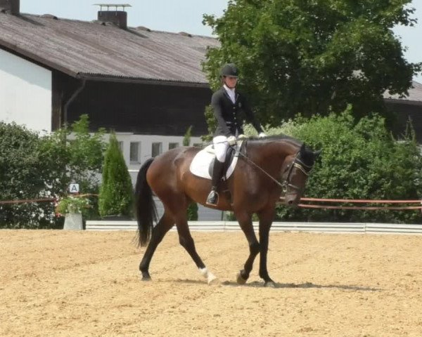Reitturnier Nördlingen 2018