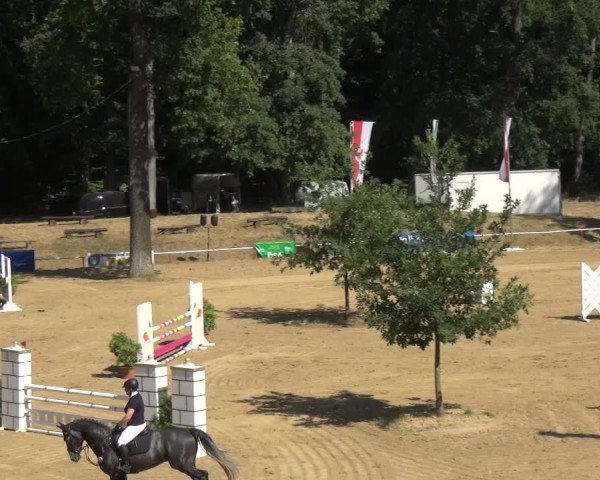Reitturnier CSN Calvörde 2018