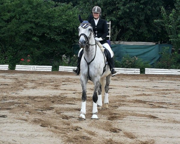 jumper Baron 326 (unknown, 2009)