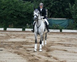 jumper Baron 326 (unknown, 2009)