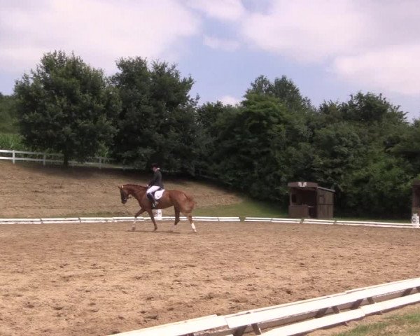 Reitturnier Vlotho-Exter 2018