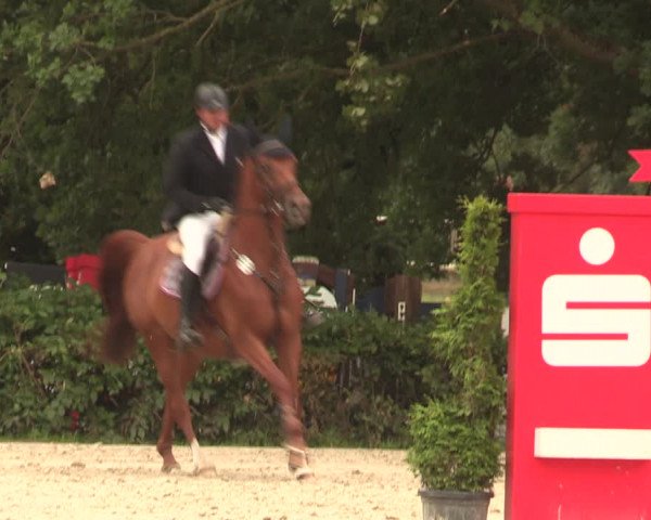 Reitturnier Vlotho-Exter 2018