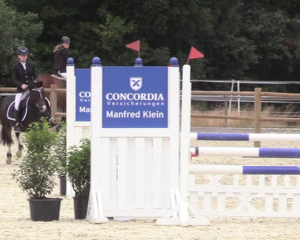Reitturnier Wietmarschen 2018