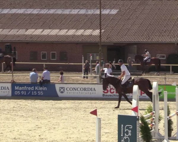 Reitturnier Wietmarschen 2018