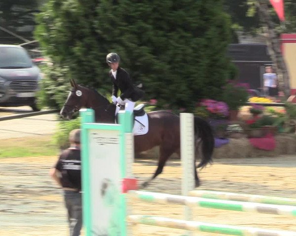 Reitturnier Herbern 2018
