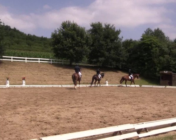 Reitturnier Vlotho-Exter 2018