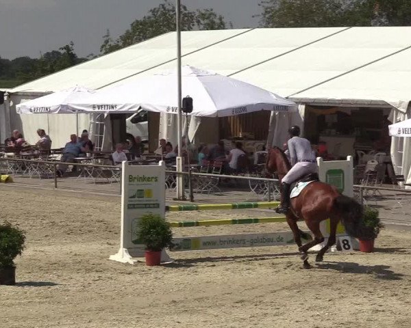 Reitturnier Wietmarschen 2018