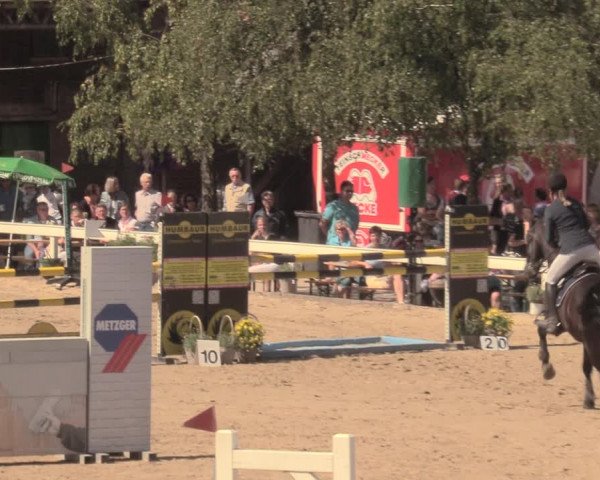 Reitturnier Letmathe 2018