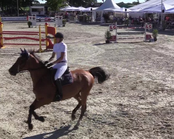 Reitturnier Wietmarschen 2018