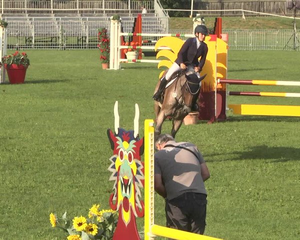 Reitturnier Nördlingen 2018