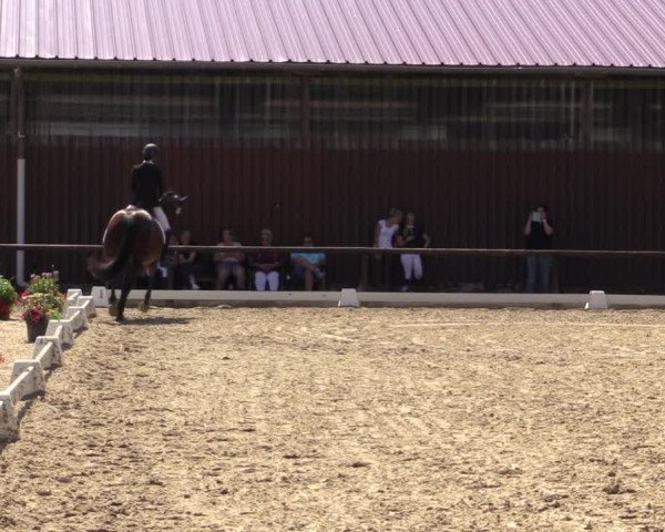 Reitturnier Marienheide-Kempershöhe 2018