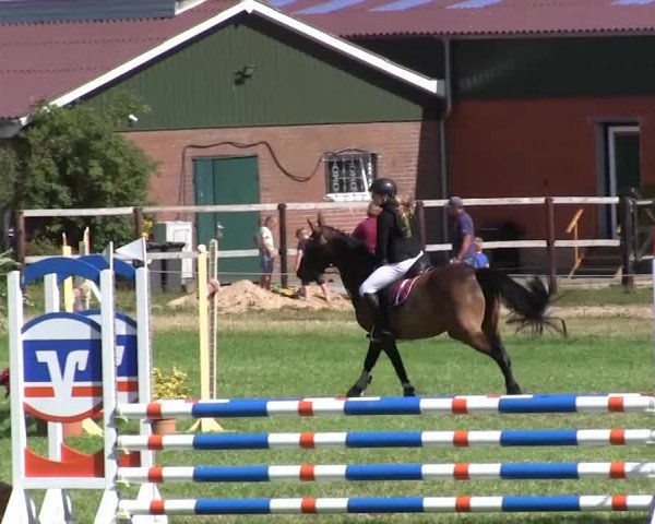 Reitturnier Hanerau-Hademarschen 2018