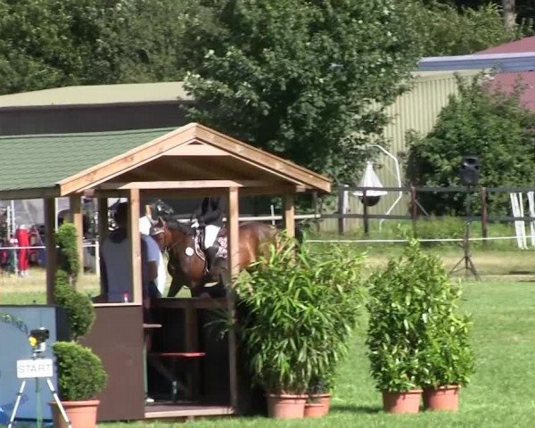 Reitturnier Hanerau-Hademarschen 2018