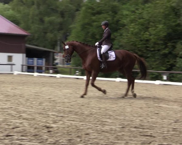 Reitturnier Marienheide-Kempershöhe 2018