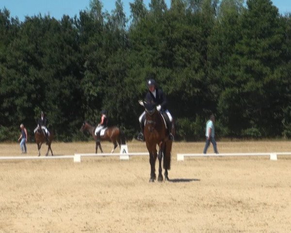 Reitturnier Wietmarschen 2018