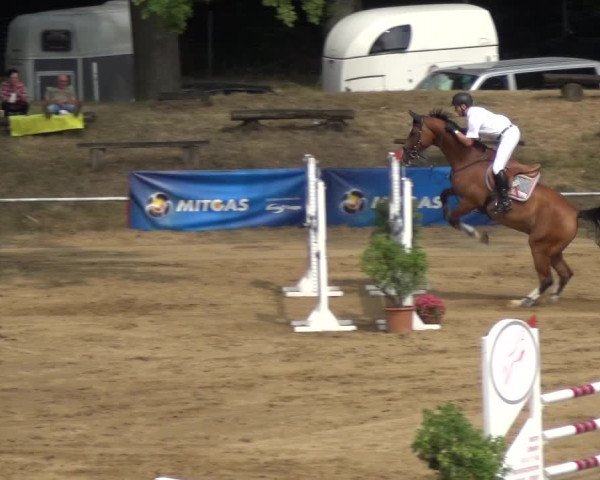 Reitturnier CSN Calvörde 2018