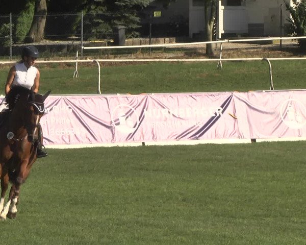 Reitturnier Nördlingen 2018