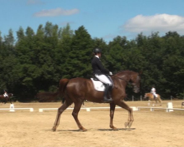 Reitturnier Wietmarschen 2018