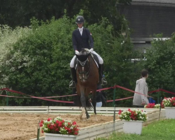 Reitturnier Nördlingen 2018