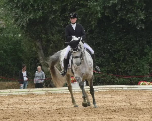 Reitturnier Nördlingen 2018