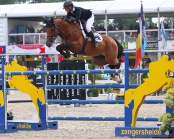 jumper Evidence (KWPN (Royal Dutch Sporthorse), 2009, from Cornet Obolensky)