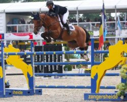 jumper Evidence (KWPN (Royal Dutch Sporthorse), 2009, from Cornet Obolensky)