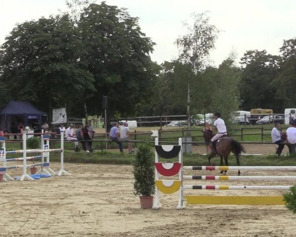 Reitturnier Herbern 2018