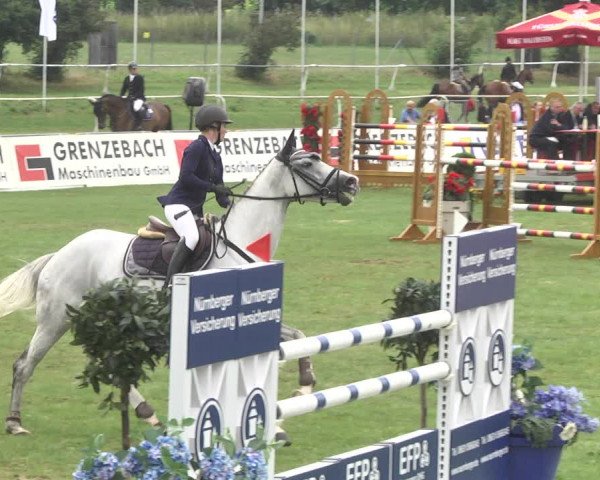 Reitturnier Nördlingen 2018