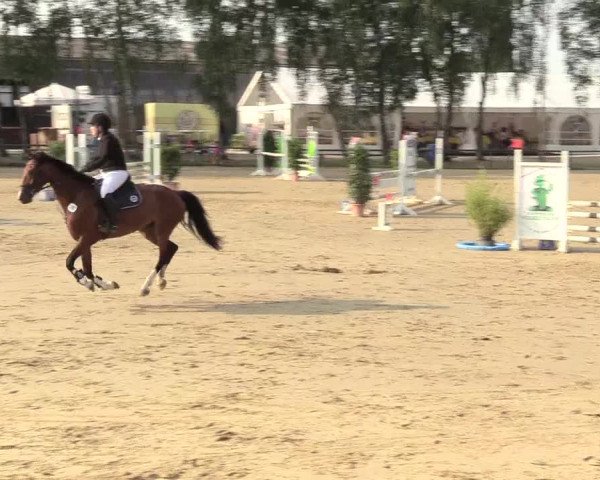 Reitturnier Herbern 2018