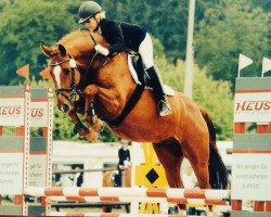 dressage horse Che Cariño (Württemberger, 2007, from Che Guevara 17)