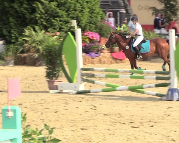 Reitturnier Herbern 2018
