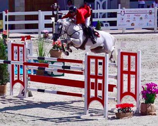 broodmare Zoloma (KWPN (Royal Dutch Sporthorse), 2004, from Clinton)