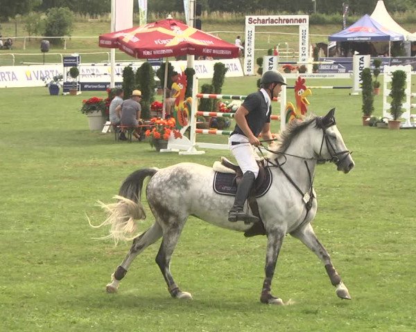 Reitturnier Nördlingen 2018