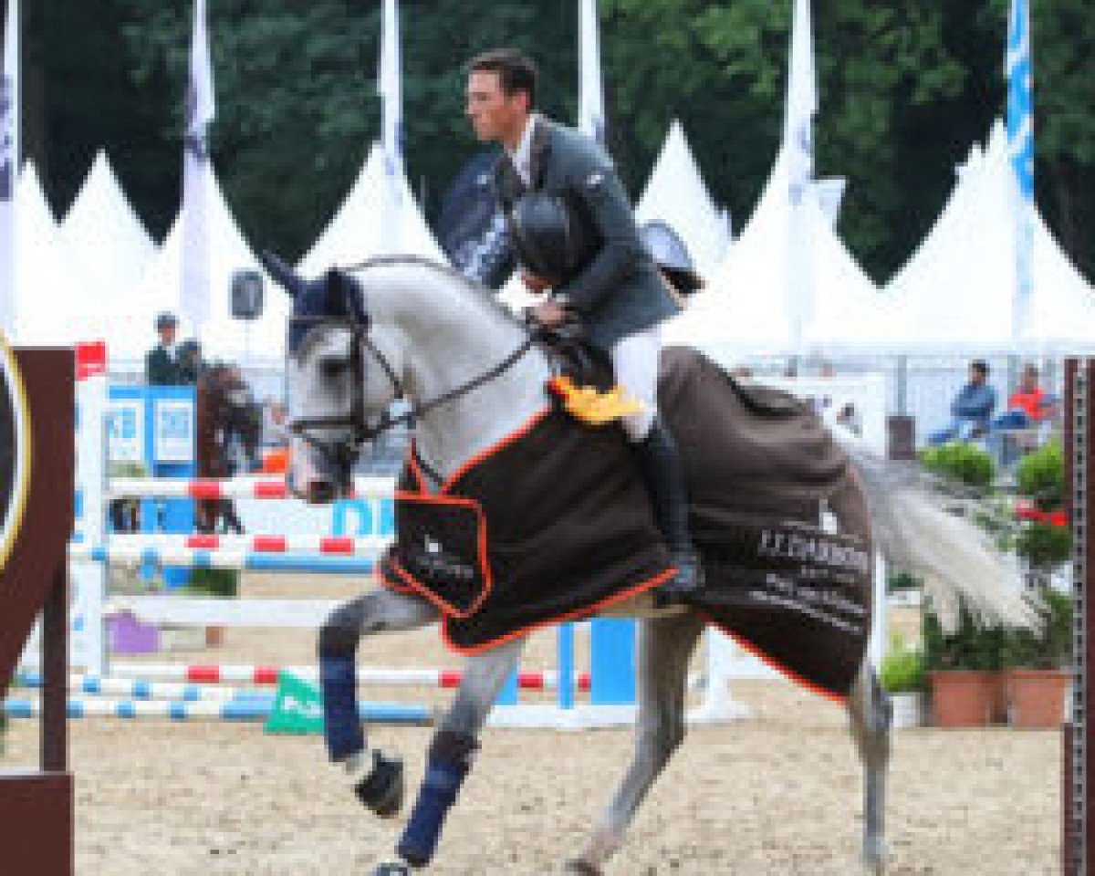 stallion COOPER VA (Holsteiner, 2012, from Clarimo Ask)