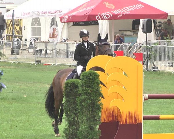 Reitturnier Nördlingen 2018